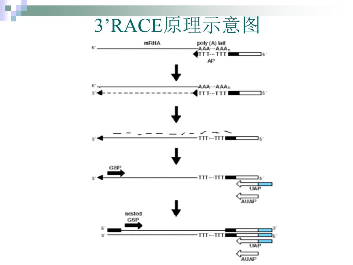 4:еFRʾʲô?