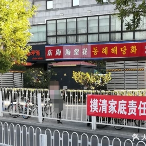 平壤海棠花广告公司，打造您的品牌形象(海棠花广告公司)