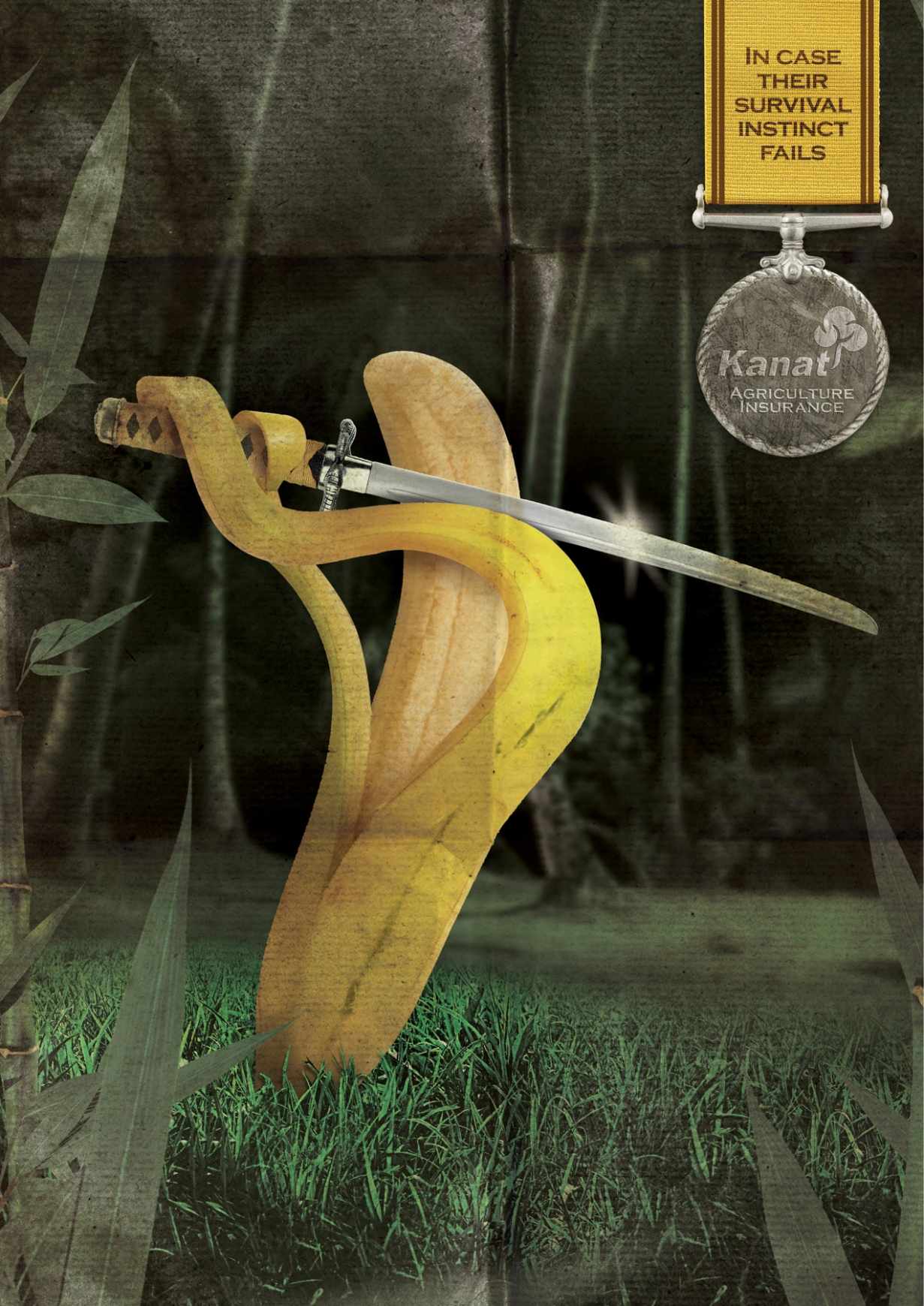 ҪԼӦü